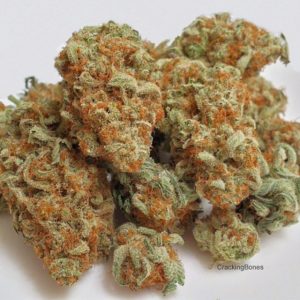 Quantum-haze.jpg QUANTUM KUSH - Image 1